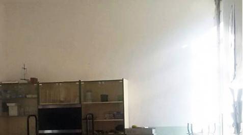El derrumbe de un falso techo obliga a desalojar el colegio de Roncal El derrumbe de un falso techo obliga a desalojar el colegio de Roncal