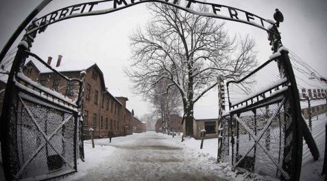Alemania juzgará a un exenfermero de Auschwitz de 95 años Alemania juzgará a un exenfermero de Auschwitz de 95 años