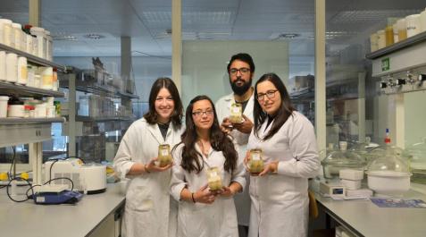 Idean una nutritiva 'mousse' de altramuces a partir de la receta del 'hummus' Idean una nutritiva 'mousse' de altramuces a partir de la receta del 'hummus'