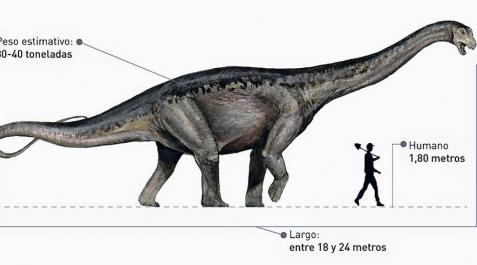 Identifican a un titanosaurio a través la cáscara de un huevo fosilizado Identifican a un titanosaurio a través la cáscara de un huevo fosilizado
