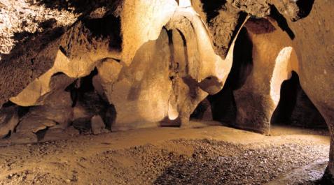 Hallan un diente y un parietal de un niño neandertal de hace 50.000 años en Moià Hallan un diente y un parietal de un niño neandertal de hace 50.000 años en Moià