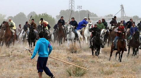 Torneo del Toro de la Vega, en Tordesillas Imágenes del festejo celebrado en la localidad castellanoleonesa y de los enfrentamientos entre partidarios y detractores.