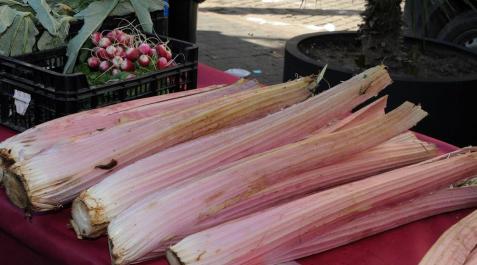 Las virtudes del cardo rojo El día de Nochebuena los vecinos de Corella celebraron la novena edición del Día del Cardo Rojo. La jornada se abrió con la puesta en marcha del mercado de productos típicos de la tierra: verduras de invierno, ajos, vino, aceite y el imprescindible cardo rojo. Además, también hubo sitio para los más pequeños, que dispusieron de un parque infantil, hinchables y talleres gastronómicos. El momento más esperado fue la degustación popular del mencionado producto junto a vino de las bodegas locales. Un día de fiesta alrededor de esta joya gastronómica.