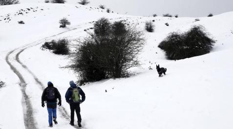 Nieve en Navarra Las nevadas de este miércoles han dejado bonitas estampas.