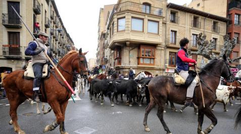La transhumancia hizo un recorrido de siete kilómetros y llegó a la plaza de toros de Tafalla alrededor de las doce y veinte. La transhumancia hizo un recorrido de siete kilómetros y llegó a la plaza de toros de Tafalla alrededor de las doce y veinte.