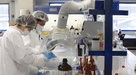El despegue del sector biofarmacéutico en Navarra El despegue del sector biofarmacéutico en Navarra