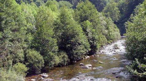 Investigan el hallazgo de un cráneo humano en el río Irati a su paso por Orbaizeta Investigan el hallazgo de un cráneo humano en el río Irati a su paso por Orbaizeta