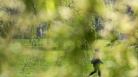 Miércoles soleado con algunas nieblas matinales en Navarra Miércoles soleado con algunas nieblas matinales en Navarra