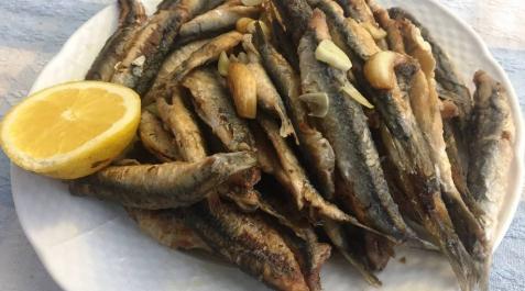 Querida anchoa, estamos de enhorabuena Querida anchoa, estamos de enhorabuena