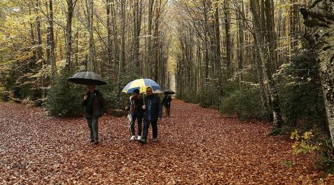 Nueva jornada gris con cielos nubosos y lluvia Nueva jornada gris con cielos nubosos y lluvia