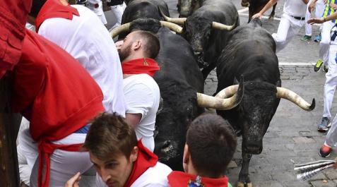 Nueve trasladados con traumatismos tras el encierro de Miura de San Fermín Nueve trasladados con traumatismos tras el encierro de Miura de San Fermín