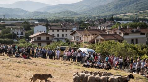 Jornadas sobre el pastoreo por el 50 aniversario del 'Artzai Eguna' en Uharte Arakil Jornadas sobre el pastoreo por el 50 aniversario del 'Artzai Eguna' en Uharte Arakil