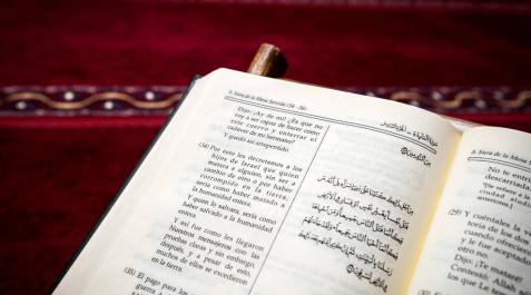 Las bases del Islam Las bases del Islam