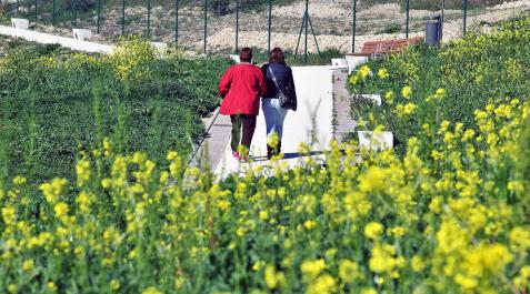 Fin de semana de ambiente primaveral en Navarra Fin de semana de ambiente primaveral en Navarra