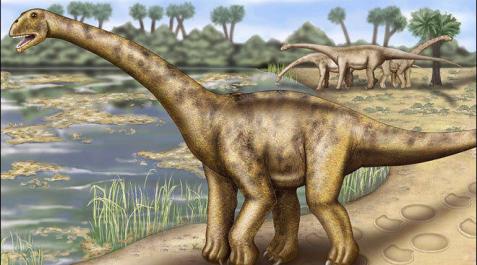 Identificado un nuevo dinosaurio de EE UU con orígenes en Teruel Identificado un nuevo dinosaurio de EE UU con orígenes en Teruel