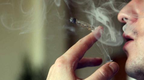 El Parlamento catalán aprueba una ley que regula las asociaciones de cannabis El Parlamento catalán aprueba una ley que regula las asociaciones de cannabis