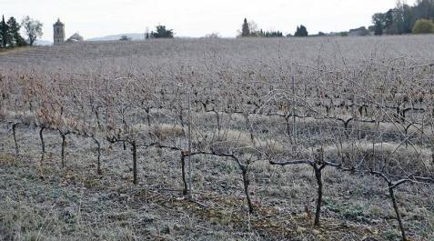 El invierno ha arrancado este lunes con heladas en Navarra El invierno ha arrancado este lunes con heladas en Navarra