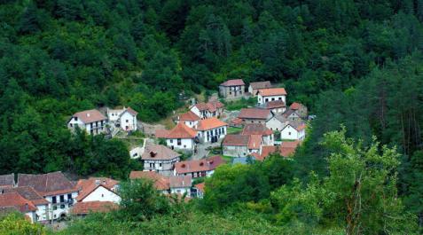 Uztárroz, un claro en el bosque Uztárroz, un claro en el bosque