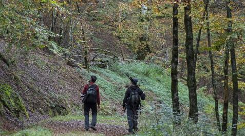 Proyectan en Quinto Real un centro de BTT y Trail Running de 500 km de rutas Proyectan en Quinto Real un centro de BTT y Trail Running de 500 km de rutas