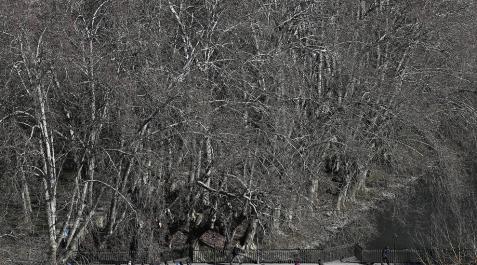 Vuelve el crudo invierno a Navarra este lunes Vuelve el crudo invierno a Navarra este lunes