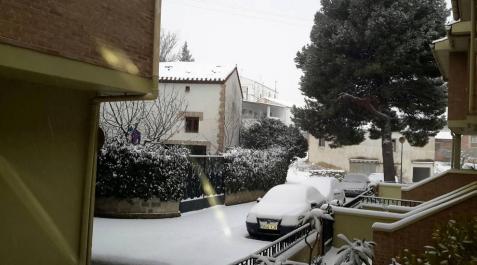 Estampas de todos los rincones de Navarra bajo el manto blanco caído el último día de febrero.