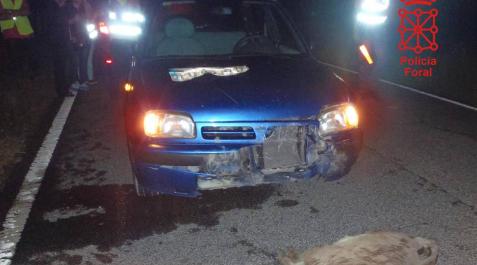 Los atropellos a animales, primera causa de accidentes en la Ribera Los atropellos a animales, primera causa de accidentes en la Ribera