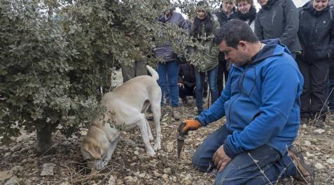 La trufa de Metauten: un plan para esta Semana Santa La trufa de Metauten: un plan para esta Semana Santa