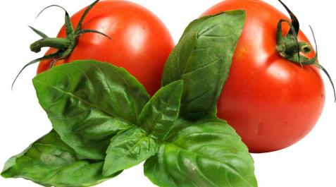 Tomates Tomates
