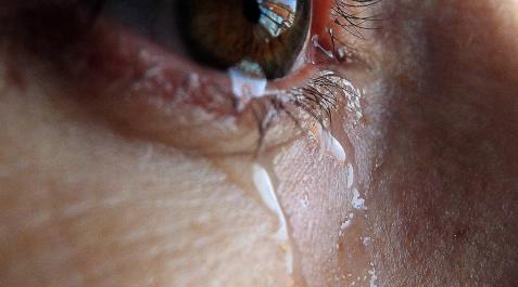 180 navarras víctimas de violencia de género reciben ayuda psicológica 180 navarras víctimas de violencia de género reciben ayuda psicológica