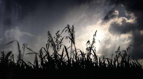 Lunes con tormentas intensas por la tarde en Navarra en una semana de bochorno Lunes con tormentas intensas por la tarde en Navarra en una semana de bochorno