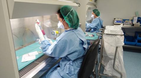 El CHN agiliza la dispensa de quimioterapia a los hospitales de día El CHN agiliza la dispensa de quimioterapia a los hospitales de día