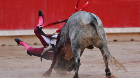 Javier Castaño se recupera bien de la cornada de 'Dinámico', que pudo ser peor Javier Castaño se recupera bien de la cornada de 'Dinámico', que pudo ser peor