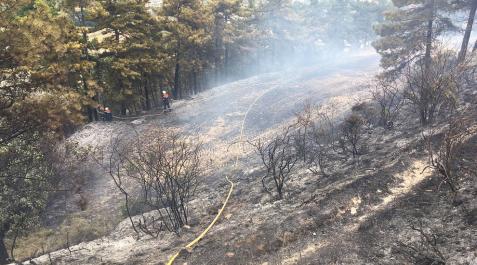 Declarado un incendio en las proximidades de Obanos Declarado un incendio en las proximidades de Obanos