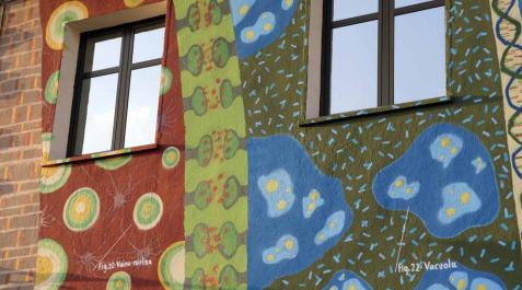 Médico, investigador y premio Nobel, Santiago Ramón y Cajal fue también un artista, con unos dibujos de células neuronales muy fieles a la realidad. Los vecinos de su pueblo y el grafitero Jabier Landa le han homenajeado pintando el hostal