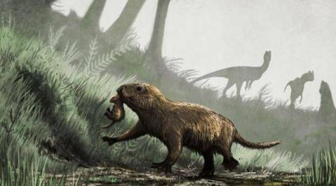 Hallan una familia de una extraña criatura que convivió con los dinosaurios Hallan una familia de una extraña criatura que convivió con los dinosaurios