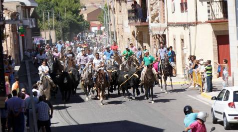 La Trashumancia de Cascante reúne a un total de 68 caballistas La Trashumancia de Cascante reúne a un total de 68 caballistas