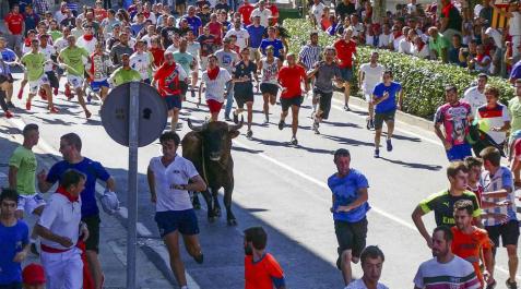 El toro ensogado en una de las jornadas festivas de Lodosa (14 de septiembre) El toro ensogado en una de las jornadas festivas de Lodosa (14 de septiembre)