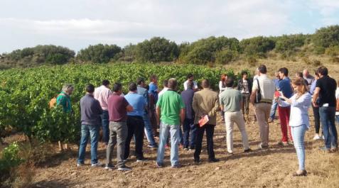 INTIA participa en un proyecto para que el vino navarro sea un referente en sostenibilidad INTIA participa en un proyecto para que el vino navarro sea un referente en sostenibilidad