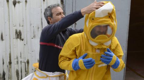 Así se retira un nido de avispa asiática en Pamplona Así se retira un nido de avispa asiática en Pamplona