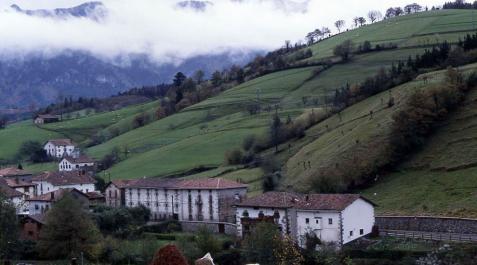 El norte de Navarra y el Pirineo siguen en alerta naranja por el viento El norte de Navarra y el Pirineo siguen en alerta naranja por el viento