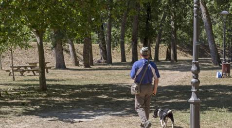 Mancomunidad talará 17 árboles en el parque de La Nogalera Mancomunidad talará 17 árboles en el parque de La Nogalera