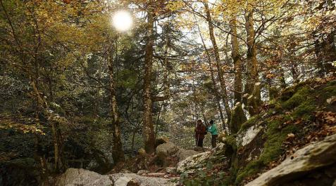 Lluvias matinales y temperaturas templadas para terminar la semana Lluvias matinales y temperaturas templadas para terminar la semana