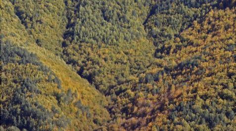 El cambio climático aumenta en 1,2° la temperatura de los Pirineos El cambio climático aumenta en 1,2° la temperatura de los Pirineos