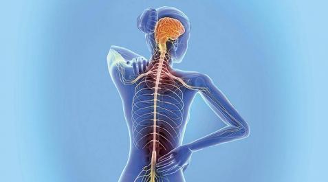 Fatiga, síntomas sensitivos y falta de equilibrio, principales síntomas de la esclerosis Fatiga, síntomas sensitivos y falta de equilibrio, principales síntomas de la esclerosis