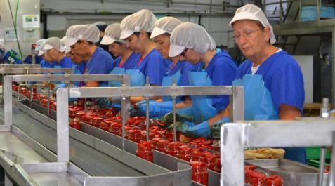 El desarrollo del sector servicios impulsa el empleo en Lodosa El desarrollo del sector servicios impulsa el empleo en Lodosa