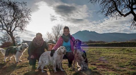 Veinte proyectos se reparten las nuevas ayudas al desarrollo local Veinte proyectos se reparten las nuevas ayudas al desarrollo local