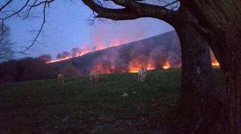 Quemas descontroladas originan dos incendios en Arraioz Quemas descontroladas originan dos incendios en Arraioz