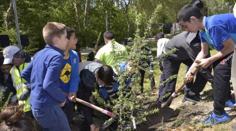 Escolares pamploneses plantan árboles en el Parque fluvial