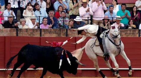 Triunfo de Guillermo Hermoso de Mendoza y orgullo de Pablo en Sevilla Triunfo de Guillermo Hermoso de Mendoza y orgullo de Pablo en Sevilla