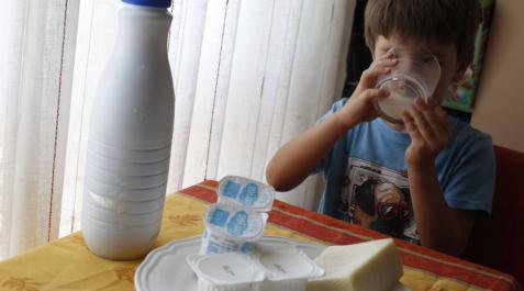 Los niños que toman más lácteos no sufren más infecciones respiratorias Los niños que toman más lácteos no sufren más infecciones respiratorias